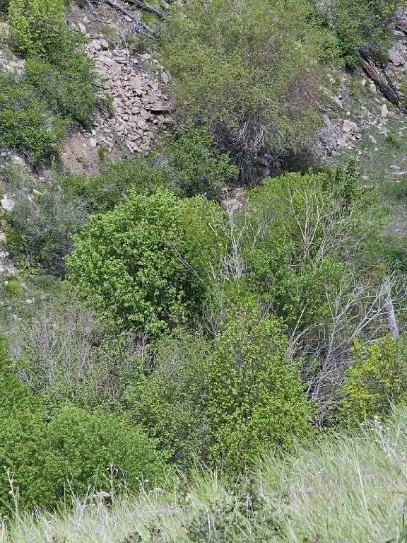Picture 21