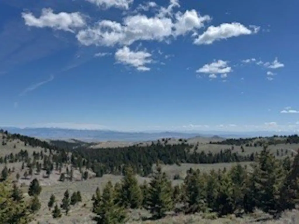 Picture 14