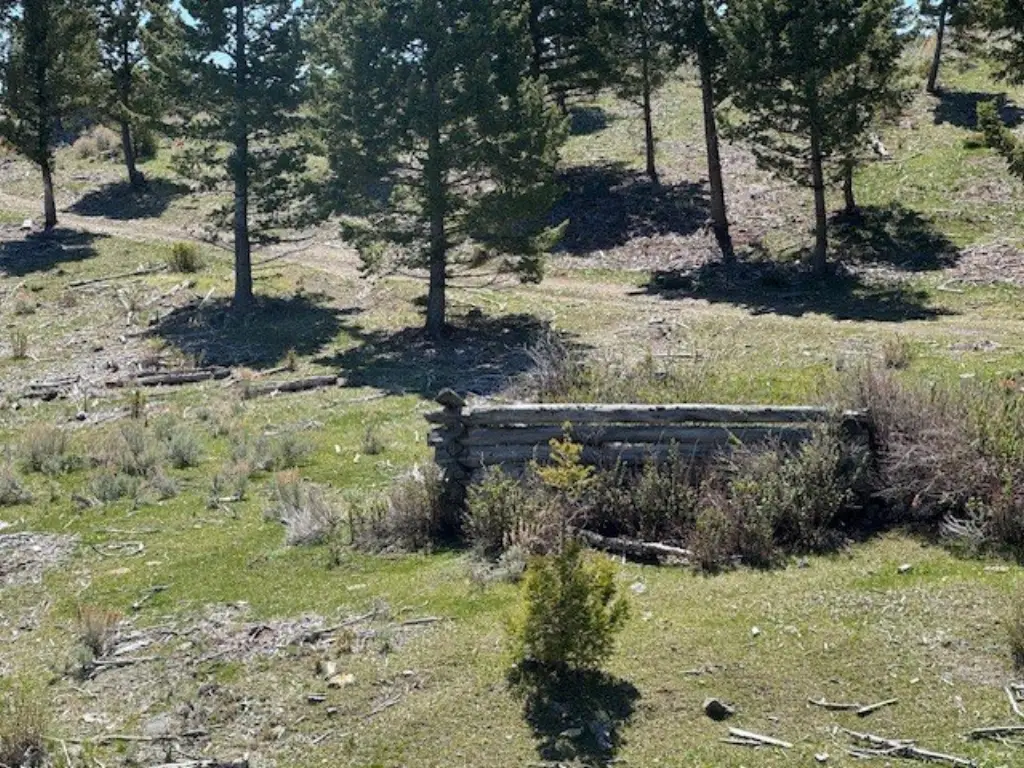 Picture 19