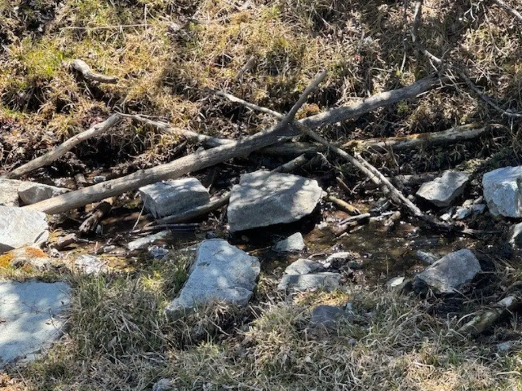 Picture 21
