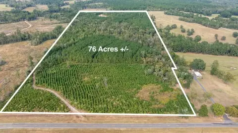 76.68 Acres Recreational Timber Tract