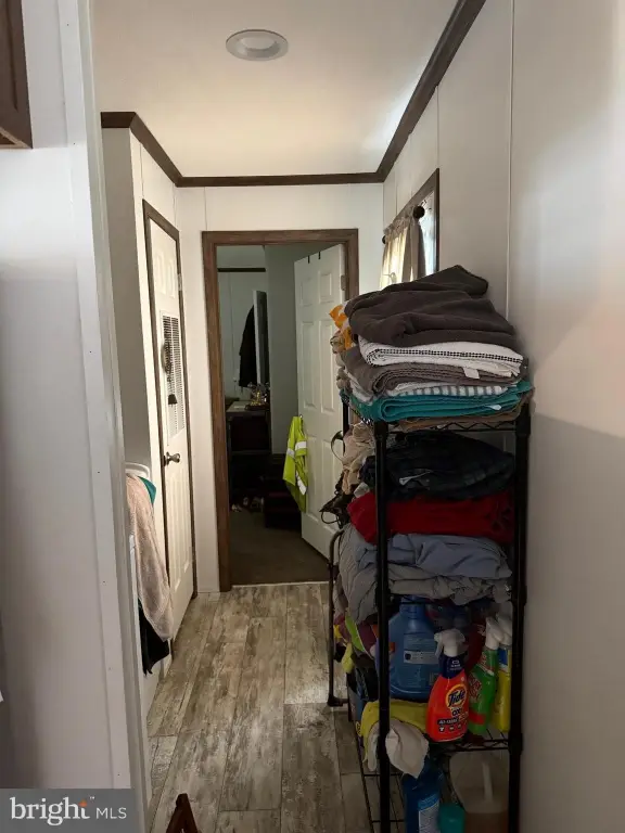 Picture 22