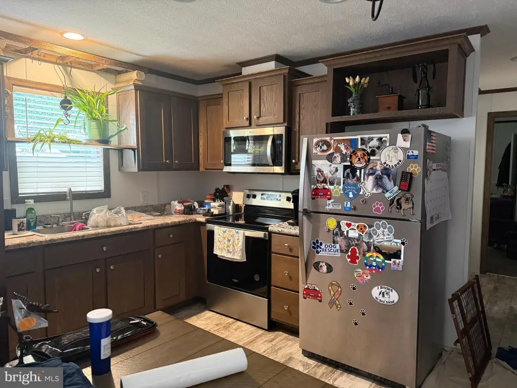 Picture 18