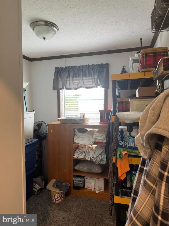 Picture 28