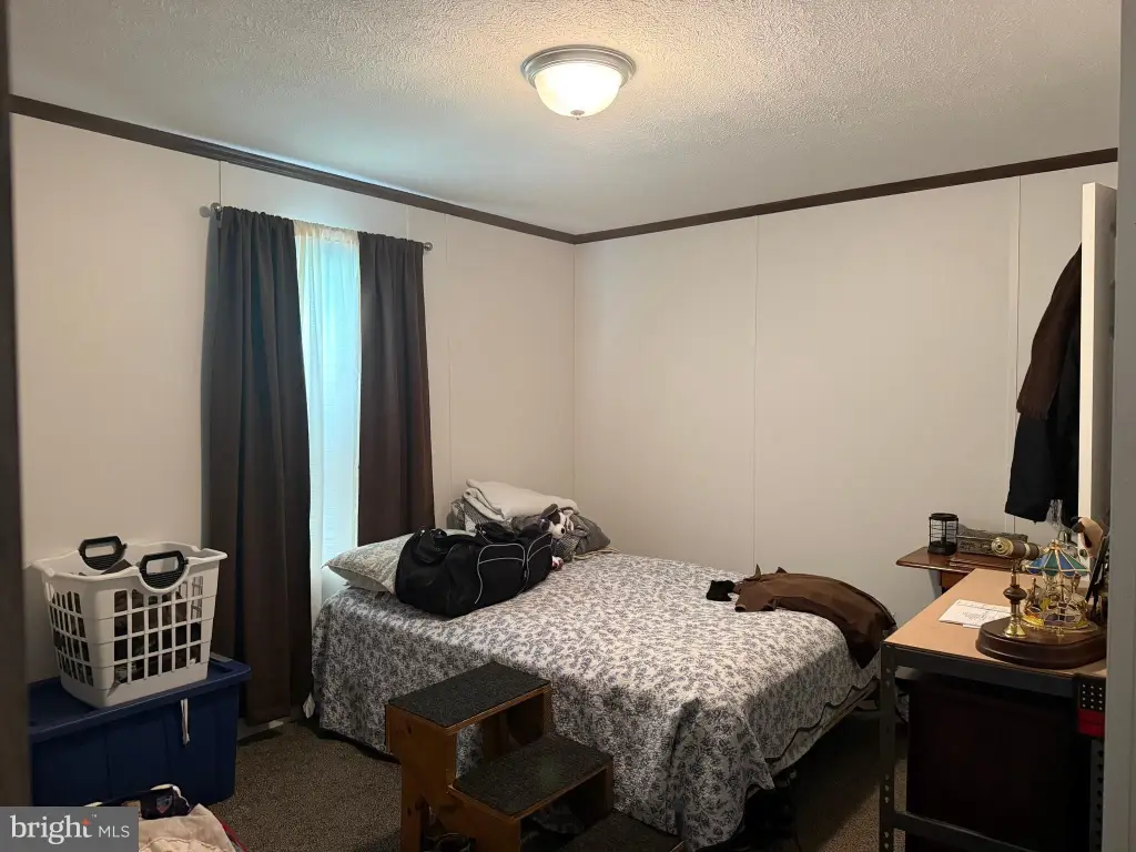 Picture 24