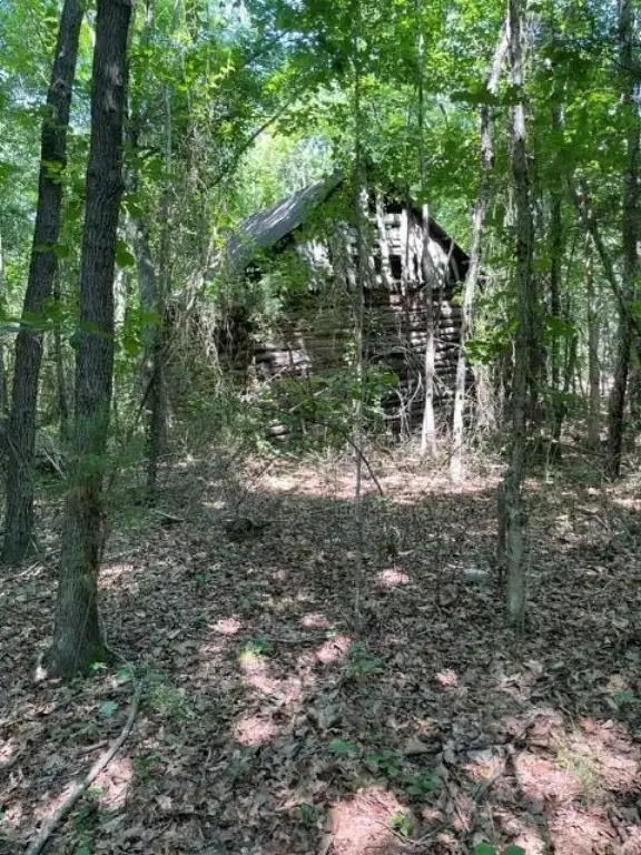 Picture 2