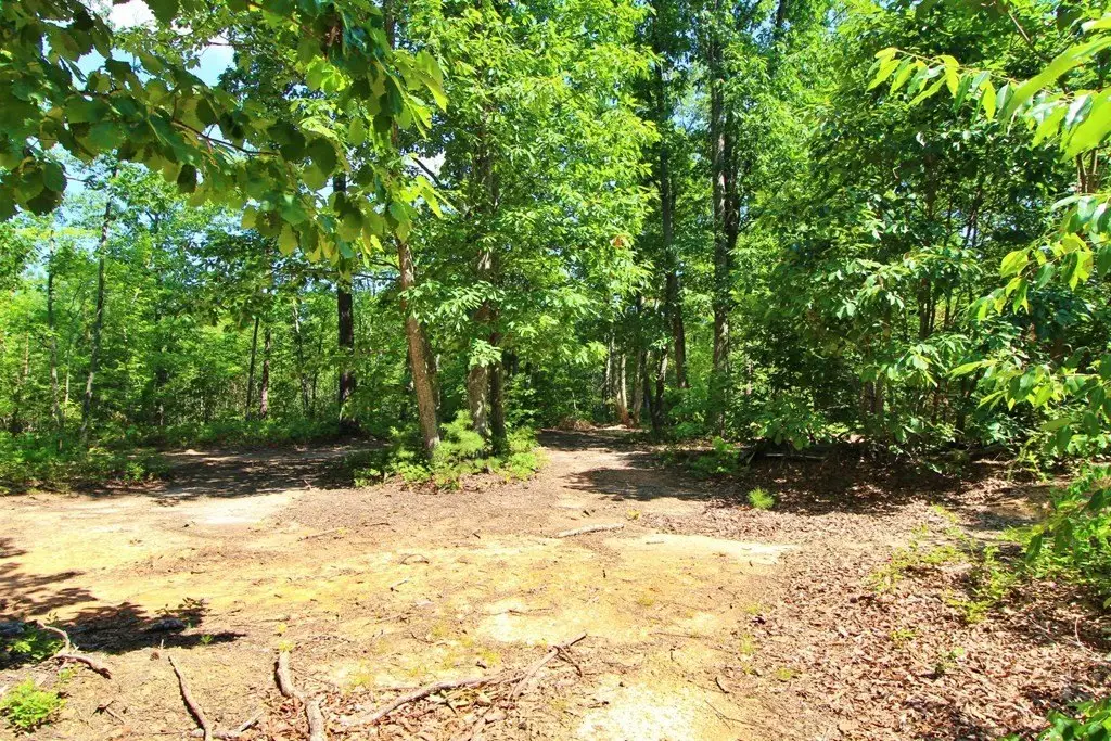 Picture 8