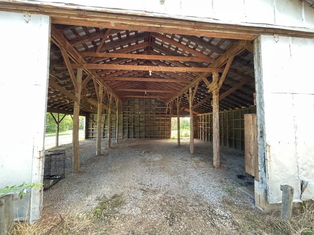Picture 17