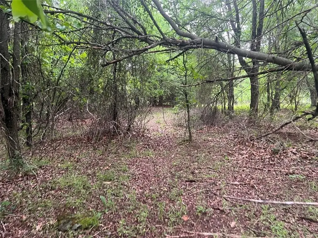 Picture 28