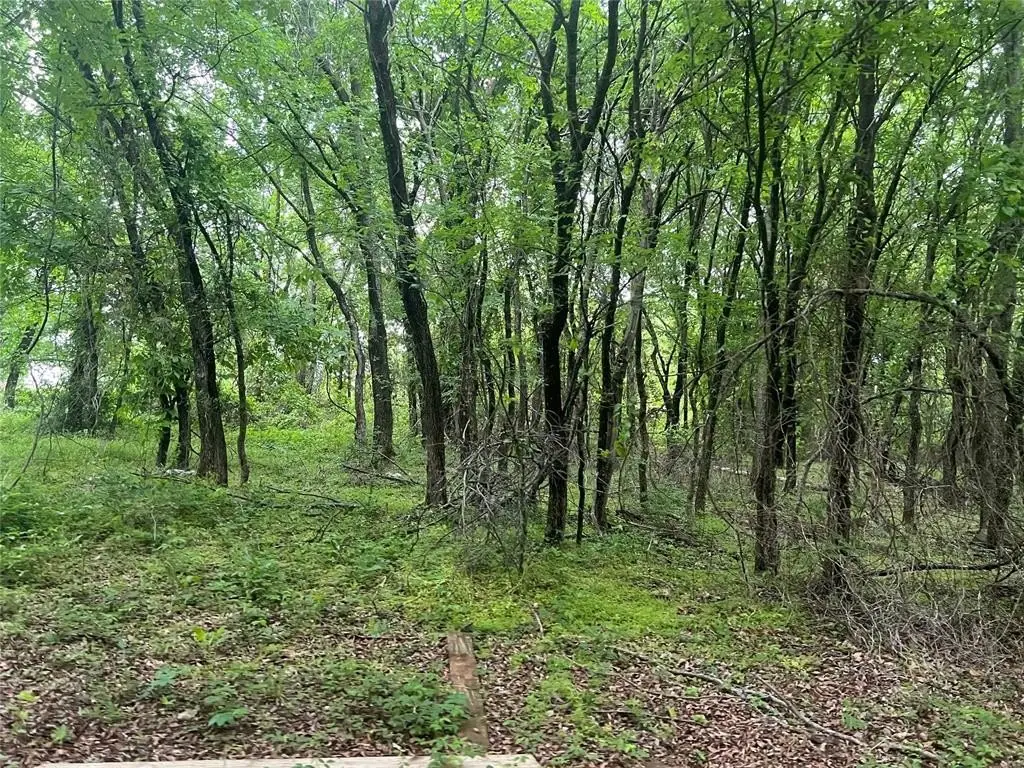 Picture 27