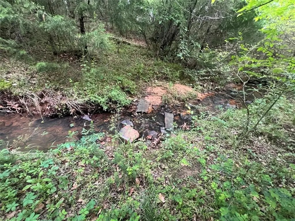 Picture 24