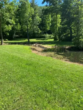 Picturesque Land with Bold Creek