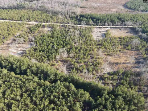 Wooded 5-Acre Lot, Bethune SC