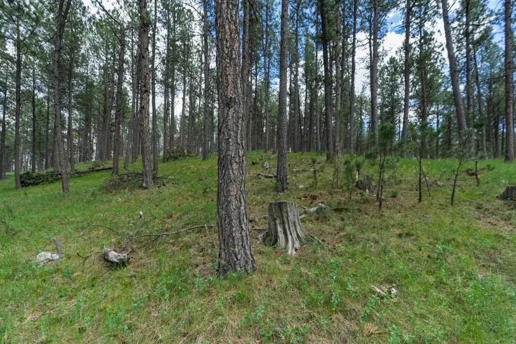Picture 28