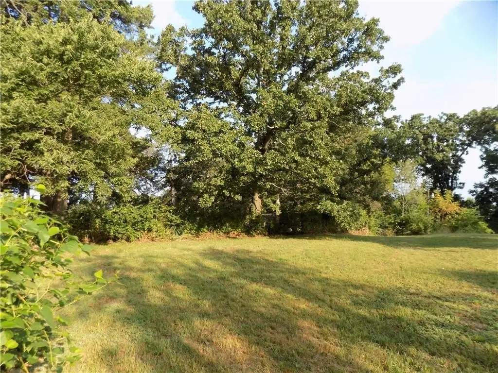 Picture 6