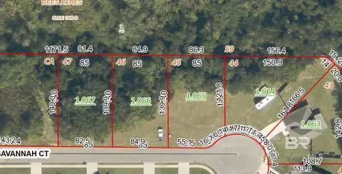 Undeveloped Wooded Lots in Summerdale