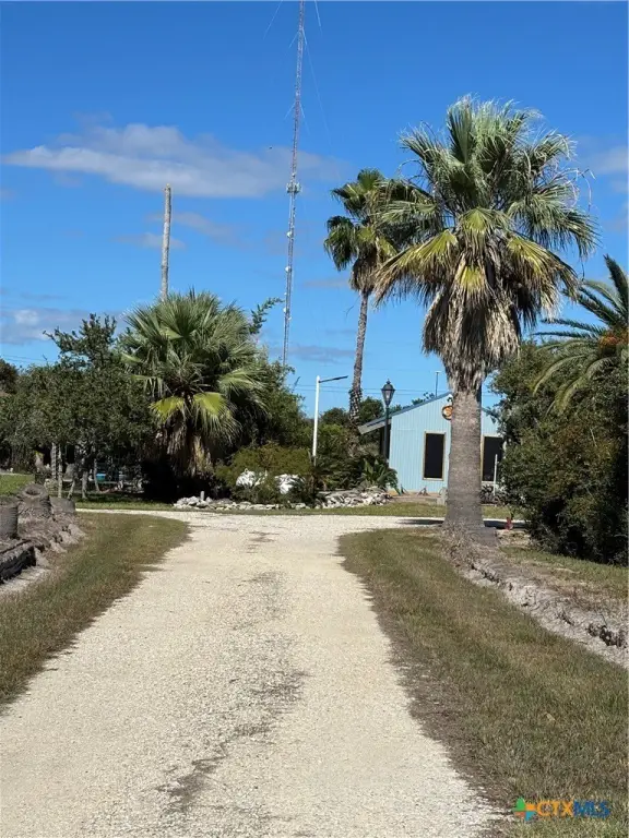 Picture 21
