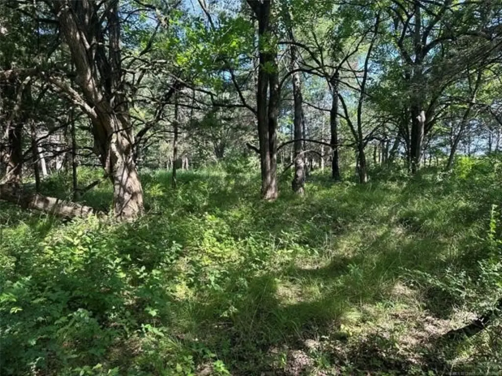 Picture 4