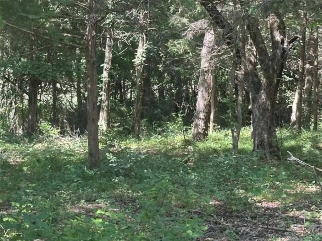 Picture 3