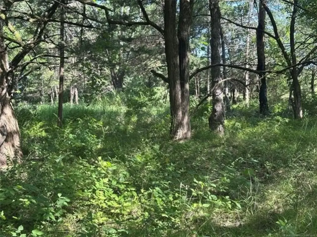 Picture 2