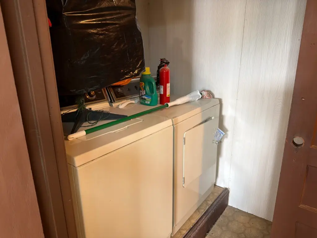 Picture 29