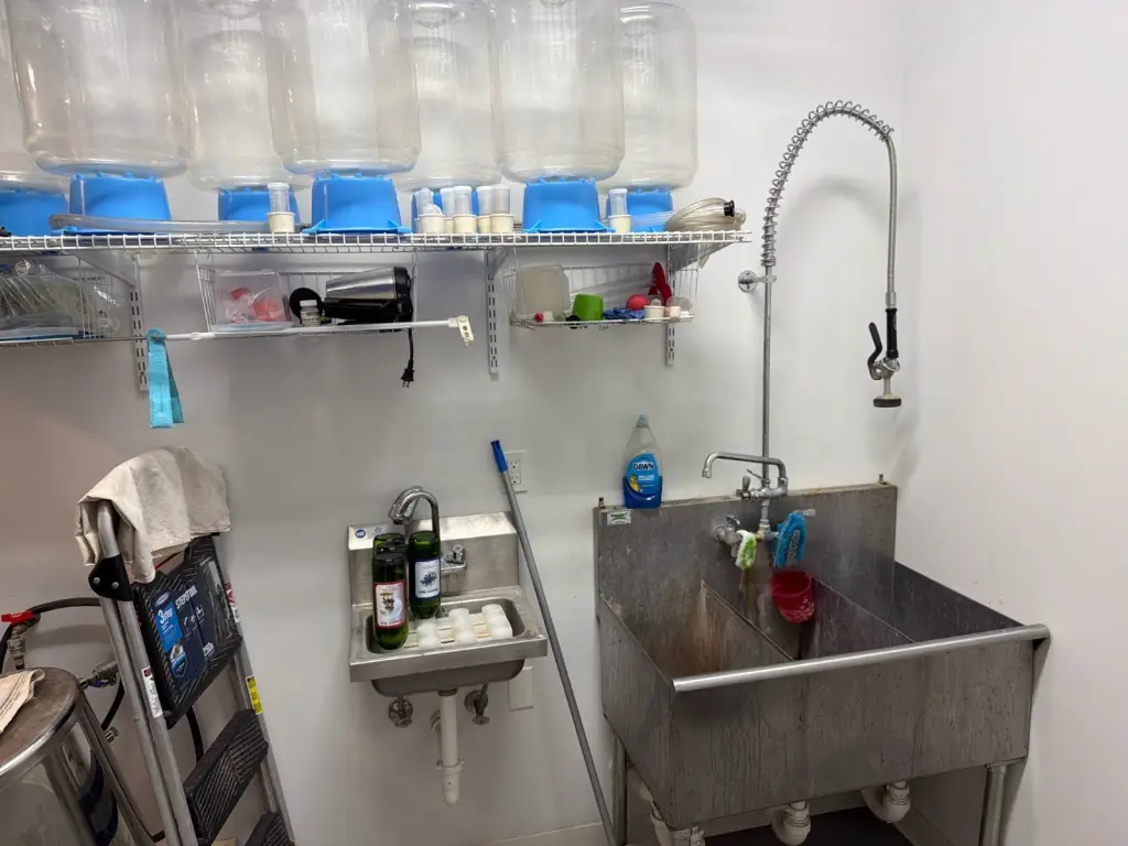 Picture 45