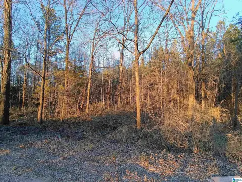 Unrestricted Acreage Near Sylacauga