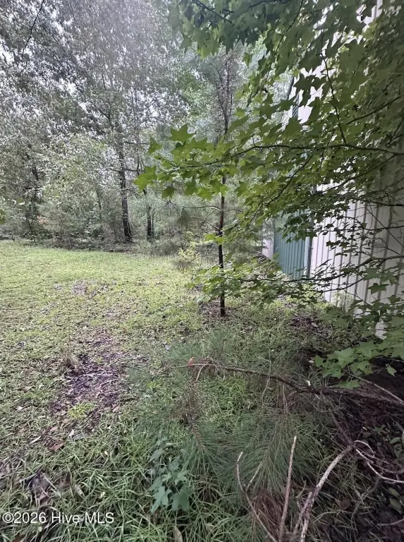 Picture 4