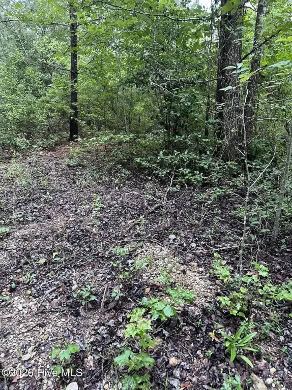 Picture 10