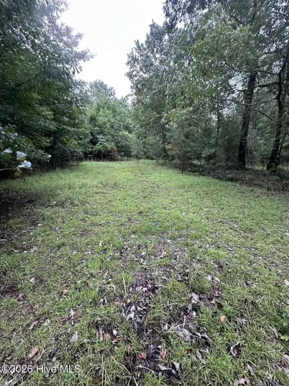 Picture 5