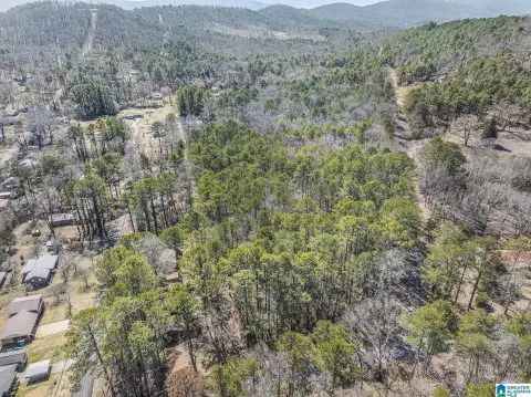 Piedmont, Alabama Acreage for Sale