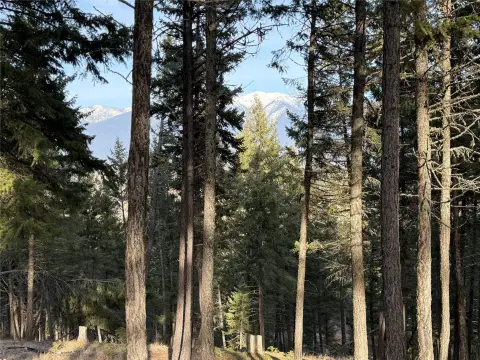 Land with Mountain Views