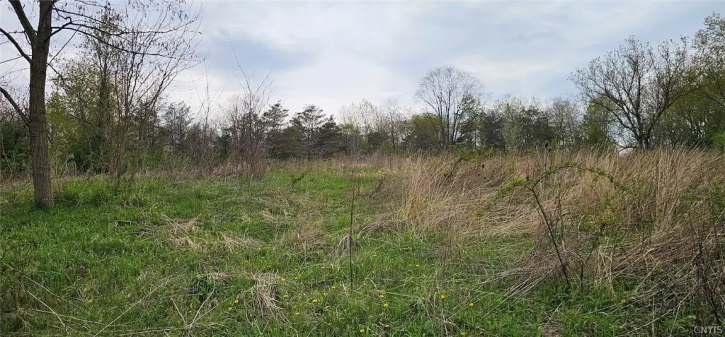 Picture 13