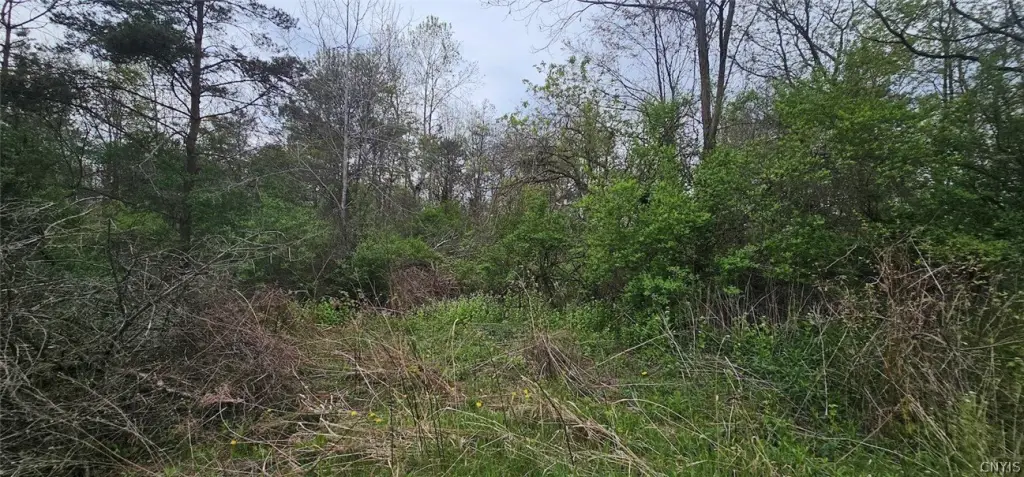 Picture 19