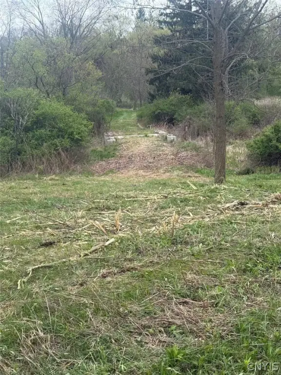 Picture 10