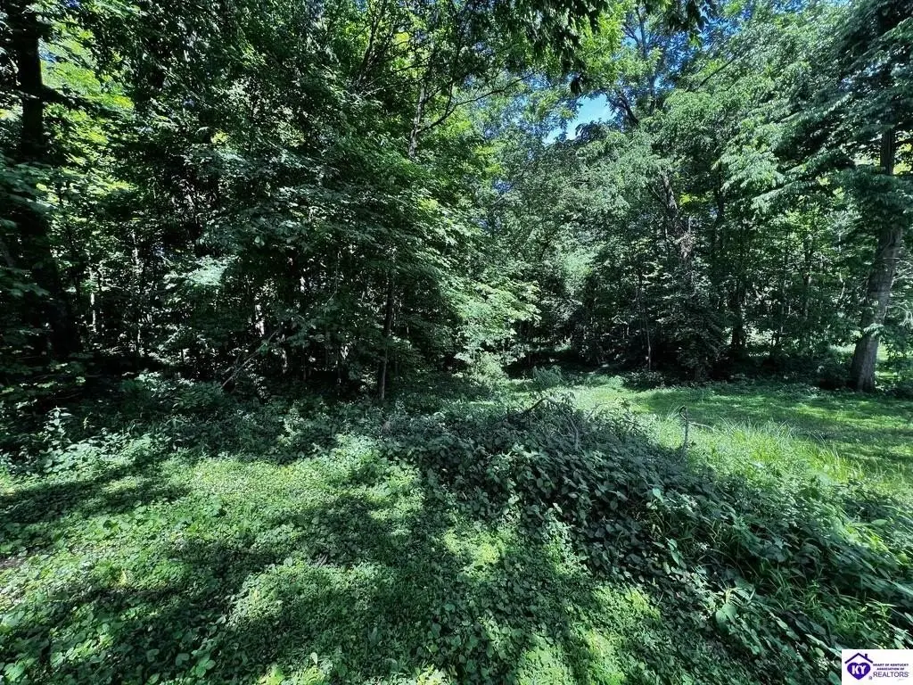 Picture 22