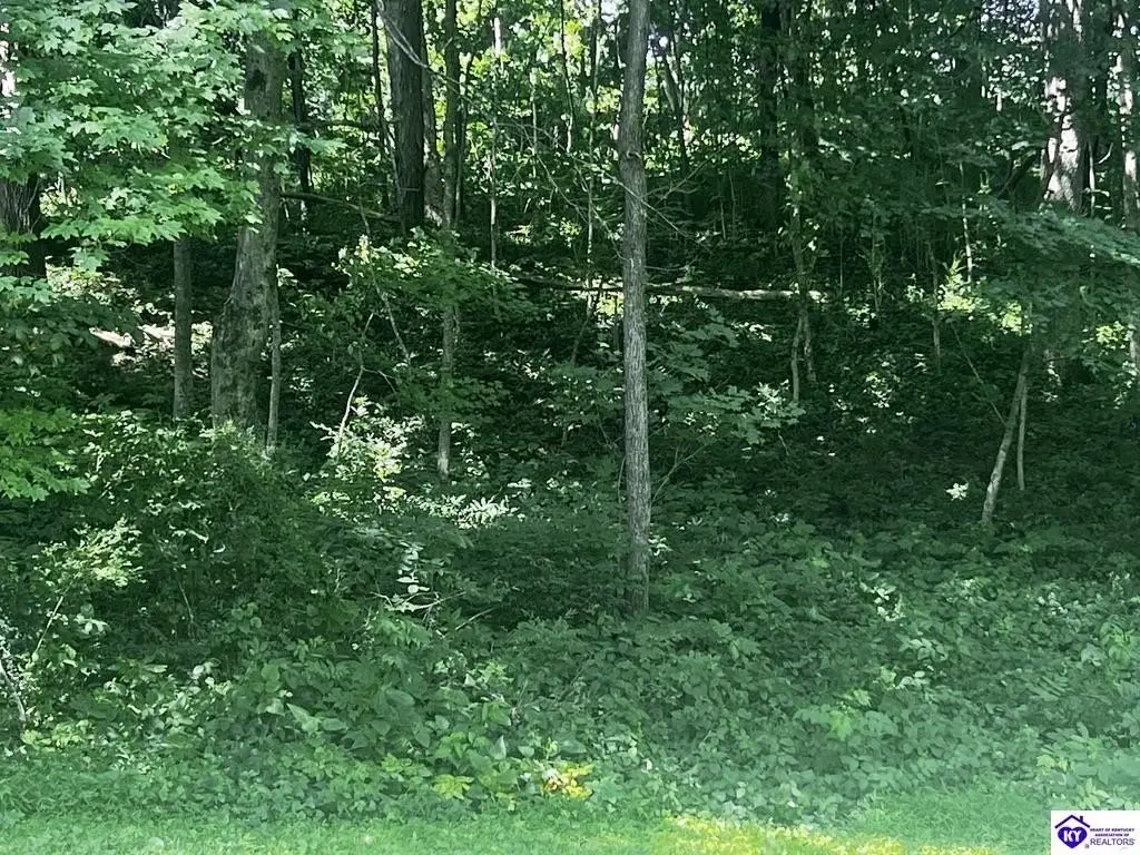Picture 23
