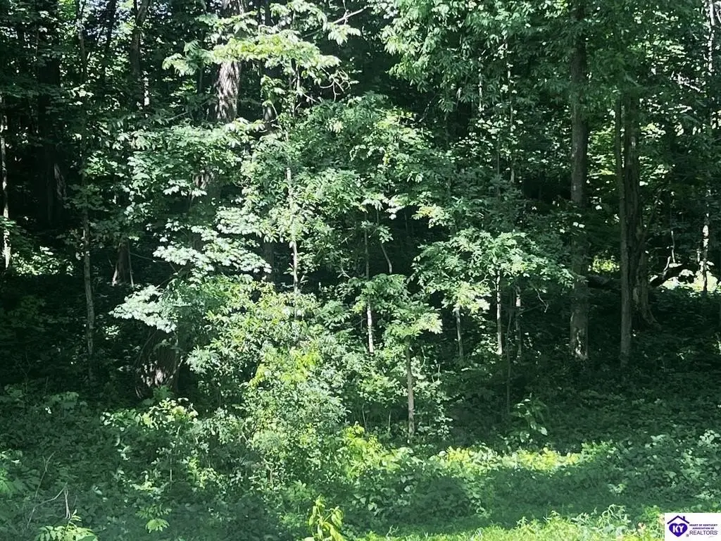 Picture 24