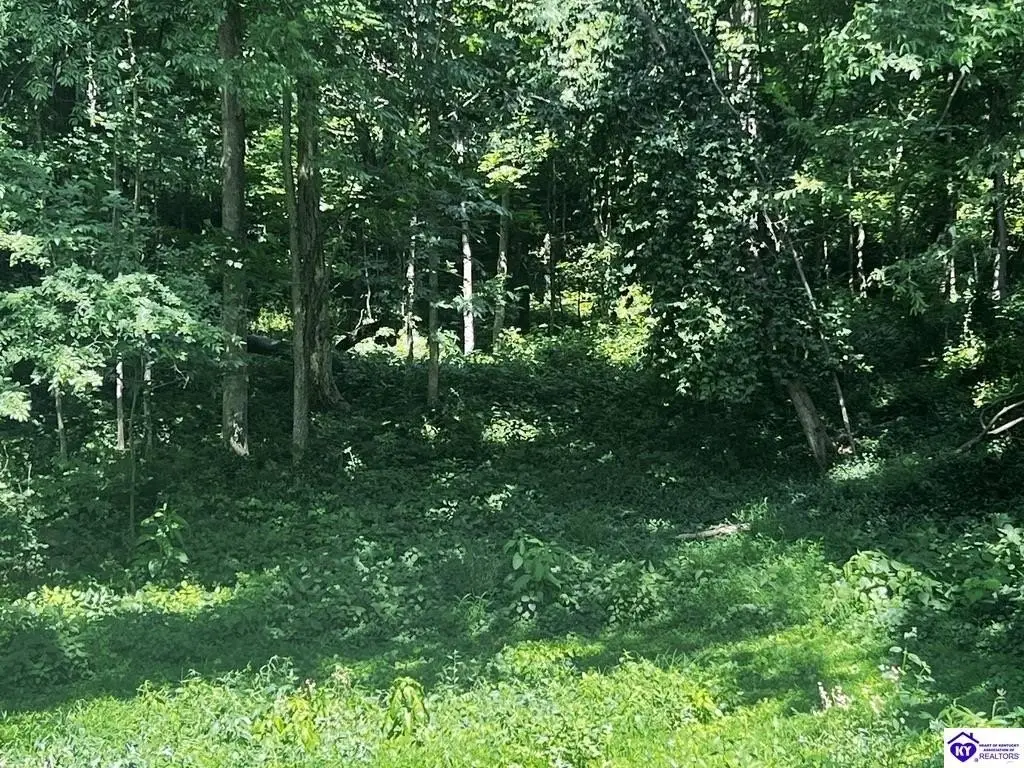 Picture 25