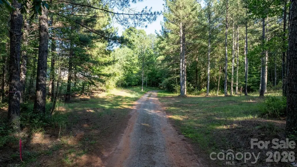 Picture 8