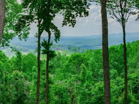 3-Acre Homesite with Mountain Views
