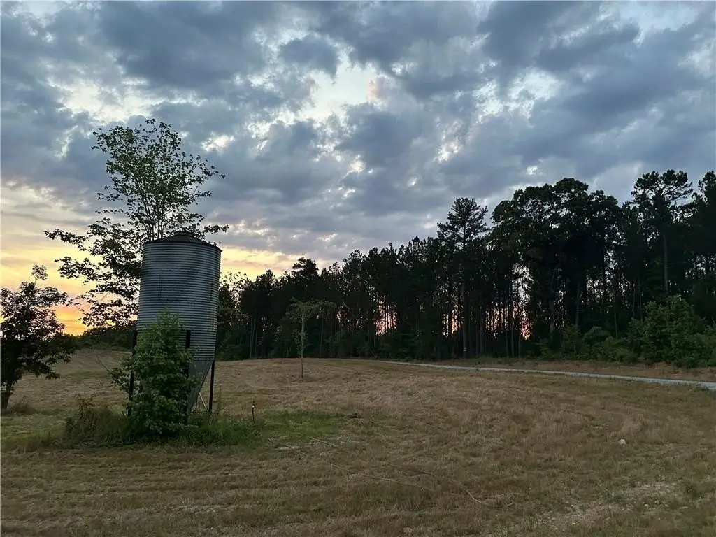 Picture 41
