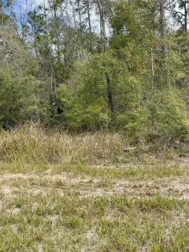 8 Acres in Hudson, Florida