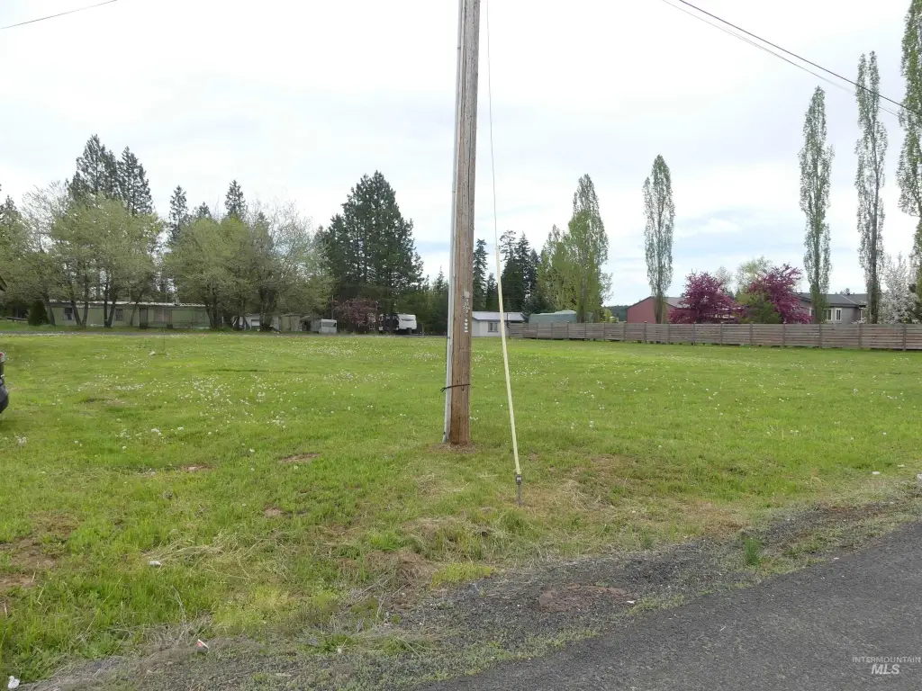 Picture 8