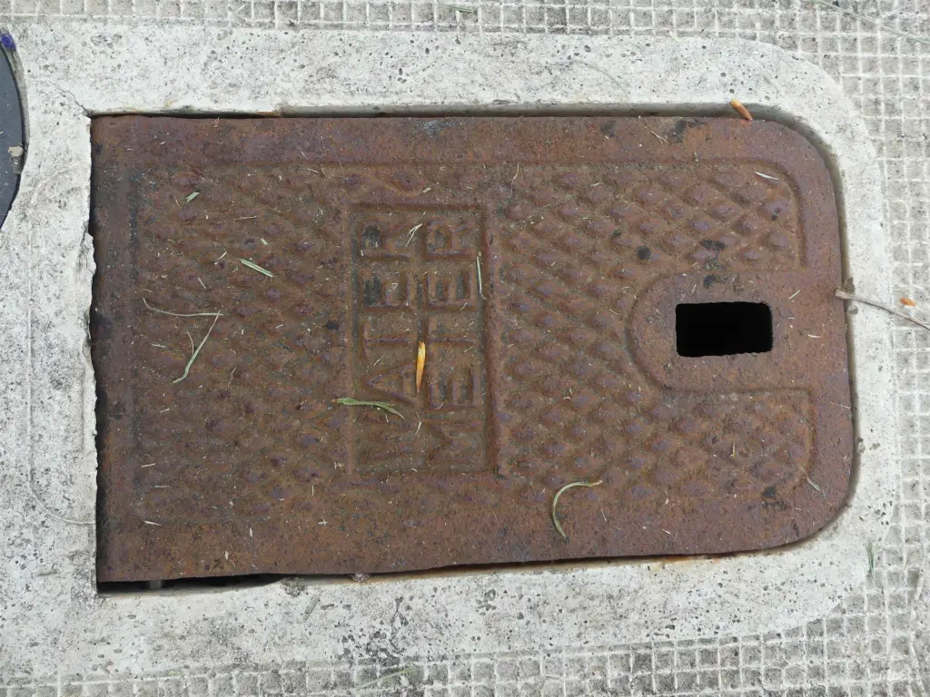 Picture 17
