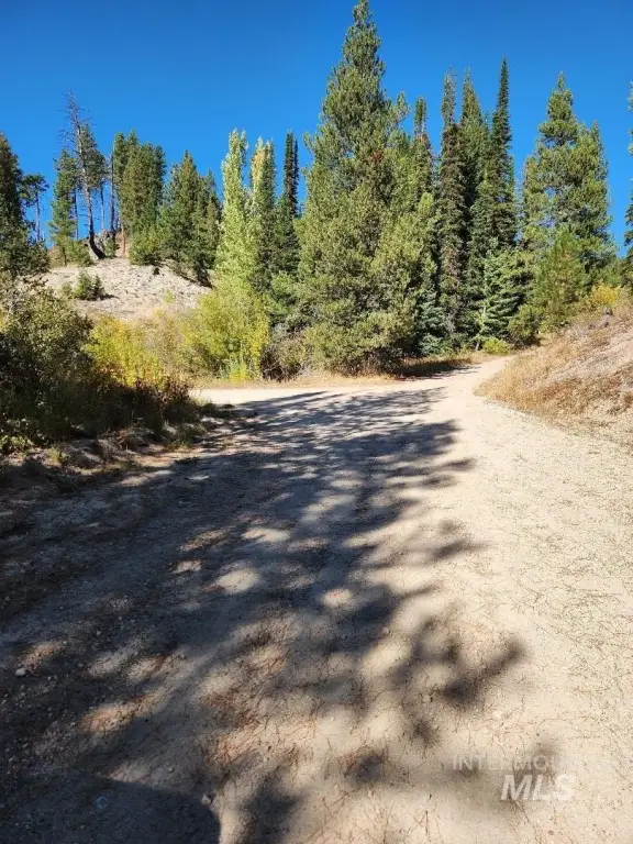 Picture 5
