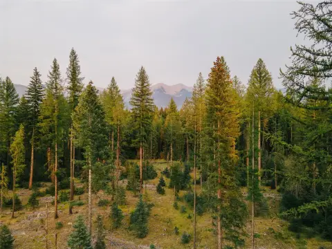 Swan Valley Acreage Subdivision Potential