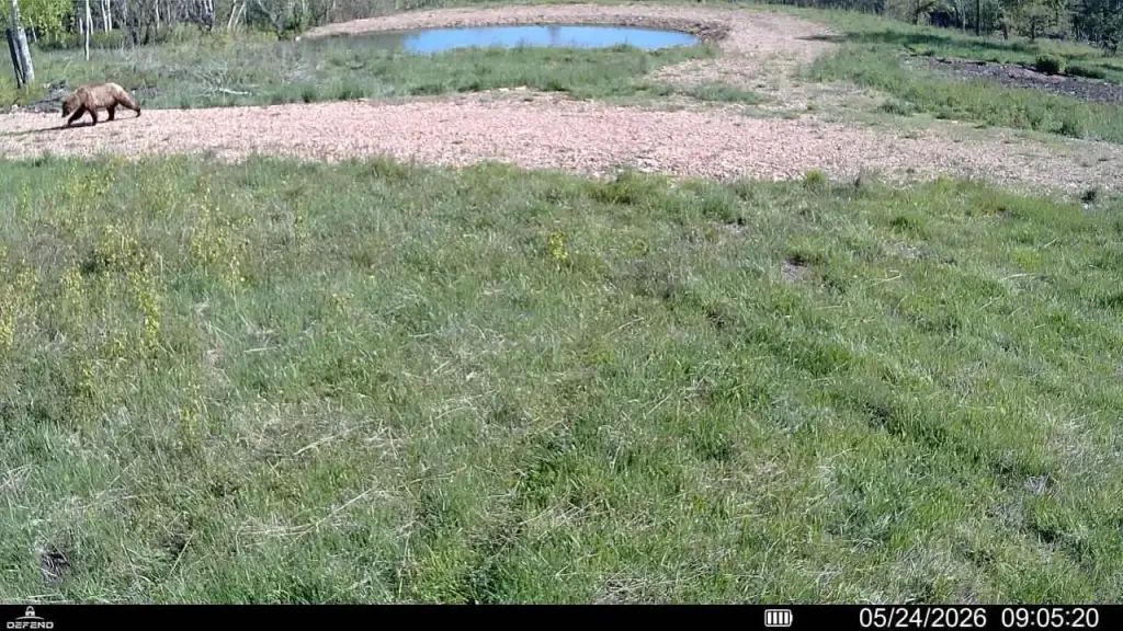 Picture 18