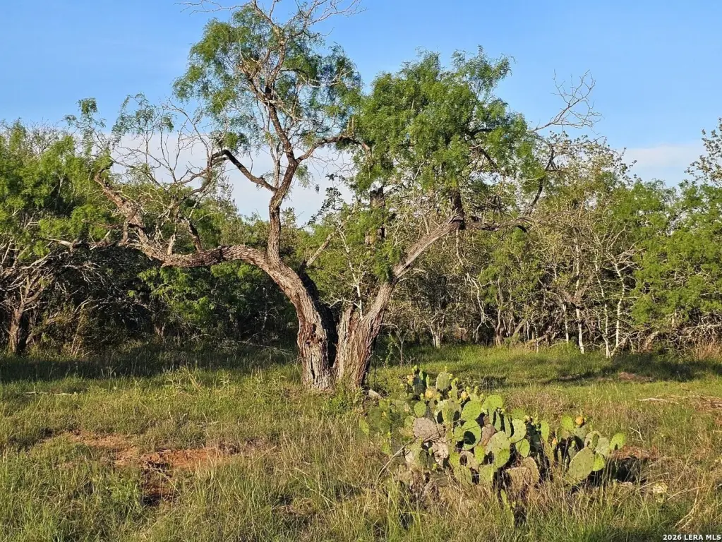 Picture 24