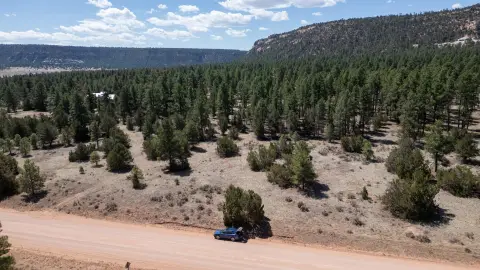 Wooded Mountain Recreation Land